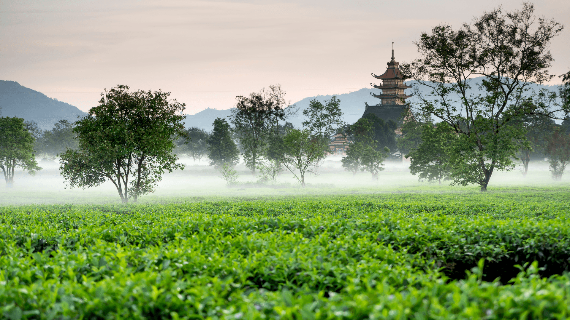 Khí hậu Gia Lai
