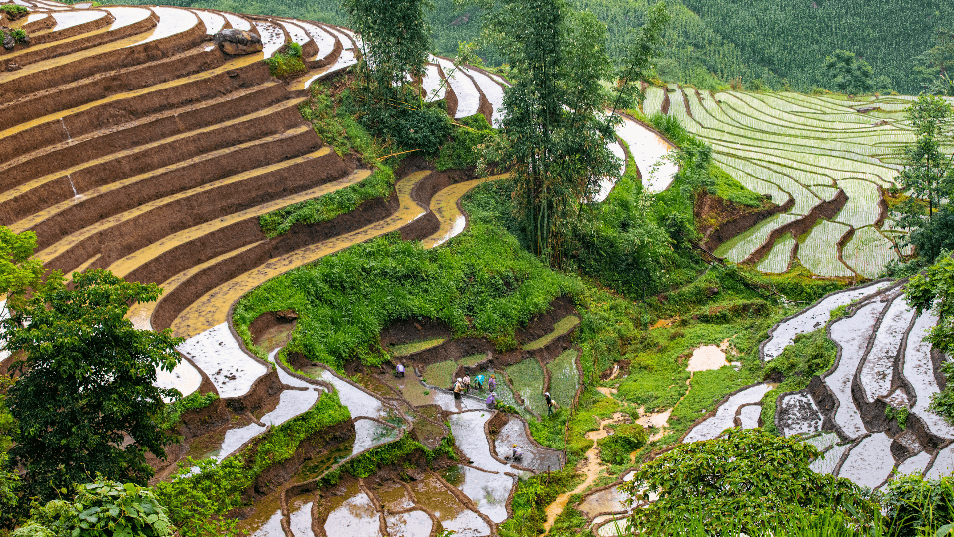 Khí hậu Lào Cai